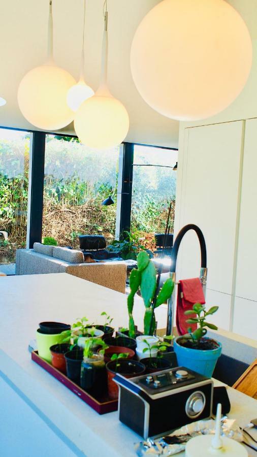 Villa Oasis de Caudéran Bordeaux Esterno foto